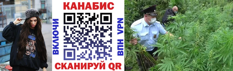 Канабис сатива Сухиничи